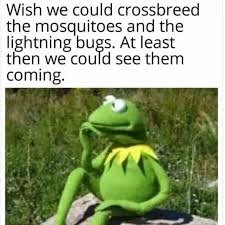 1751544258584.jpeg