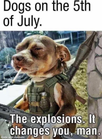 1751647427836.png