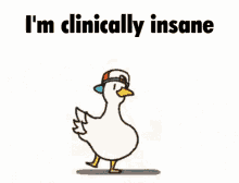 dancing-duck-clinically-insane-cute-jump-zvyh3uh6rpgjpbmf.gif