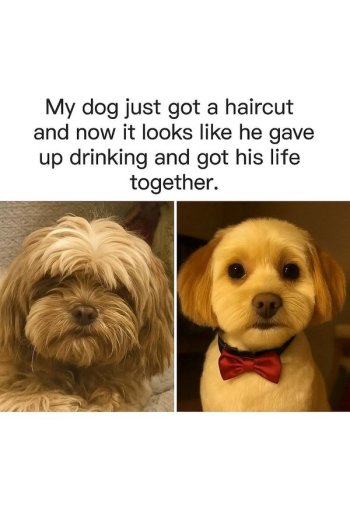 1751721586159.jpeg