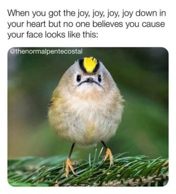 1751830576099.jpeg