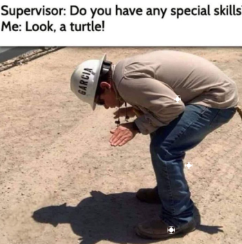 1751885500239.png