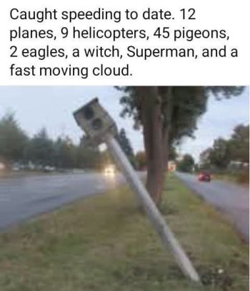1752017543732.jpeg