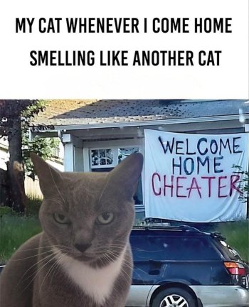 1752118806422.jpeg