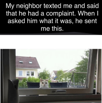 1752118956473.png