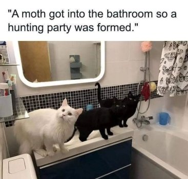 1752190050870.jpeg