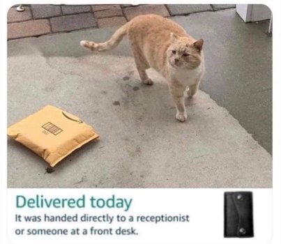 1752190145259.jpeg