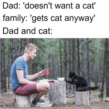 1752197788045.png