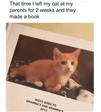 1752281953084.png