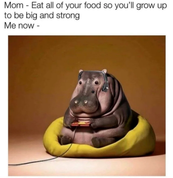 1752370391481.png