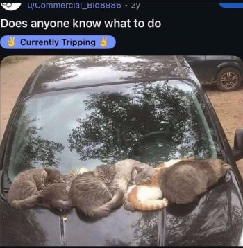 1752463674075.jpeg