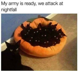 1752486228998.jpeg
