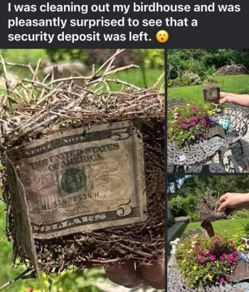 1752503820038.jpeg
