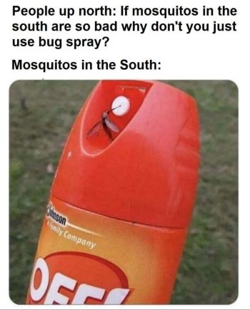 1752552958528.jpeg