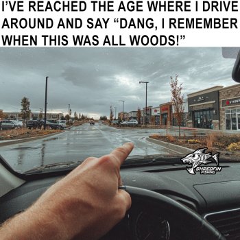 1752621693721.jpeg