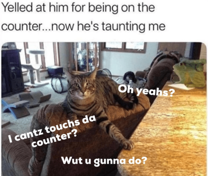1752798706341.png