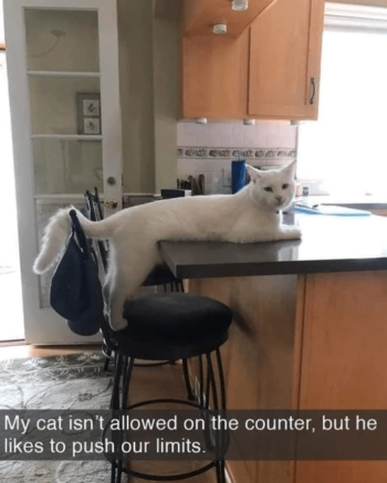 1752798769163.png
