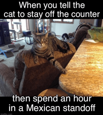 1752798850110.png