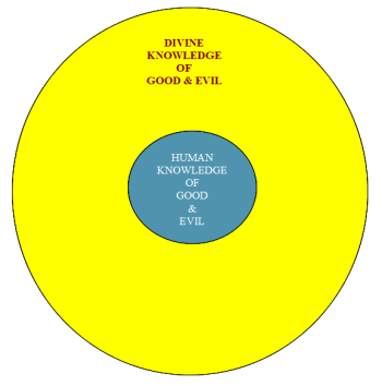 1752816651450.png 1752816651450.png