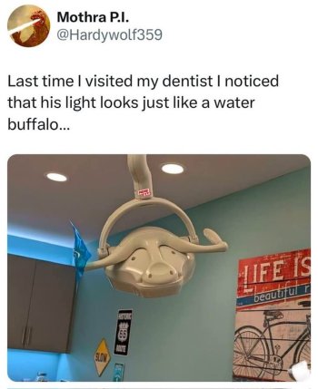 1752866260128.jpeg