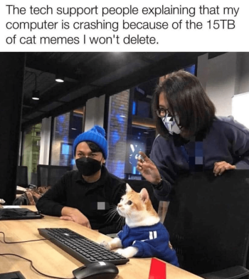 1752884281349.png