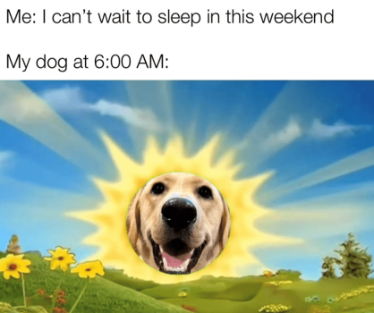 1752884672212.png