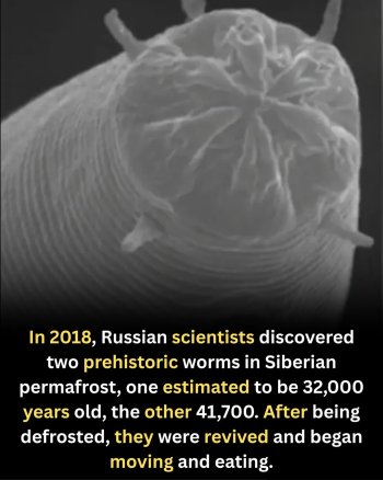 1752973655764.jpeg