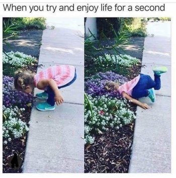 1753048389153.jpeg