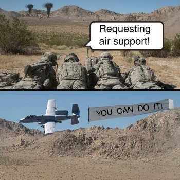 1753101120590.jpeg