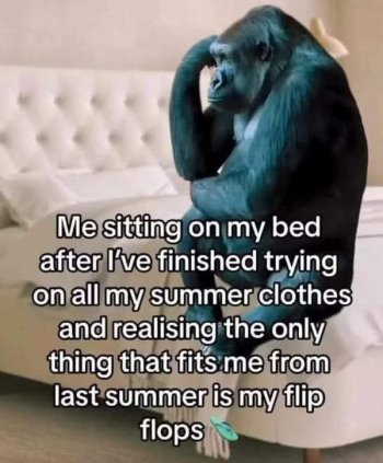 1753110237085.jpeg