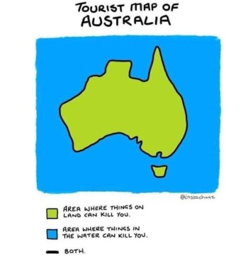 Aussies.jpg