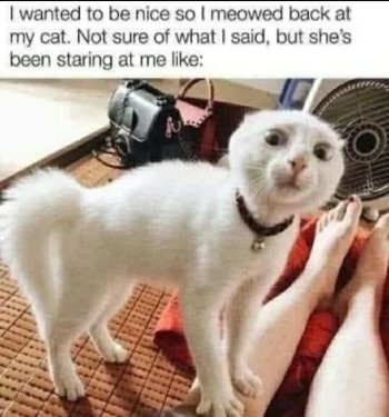 1753181120890.jpeg
