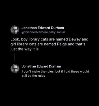 1753181362200.jpeg