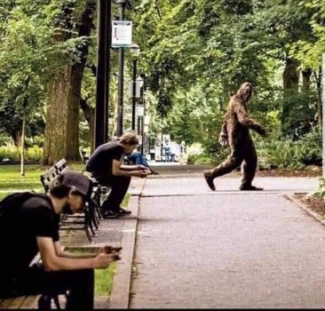 meme_bigfoot_zombie-social-media-ee0491277c4ebe5820.jpg