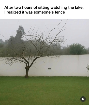 1753231808587.png