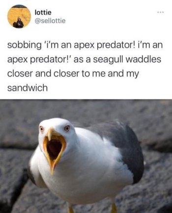 1753346667999.jpeg