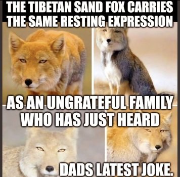 1753347025227.jpeg