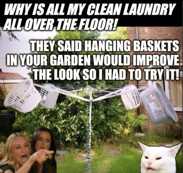 1753347282472.jpeg