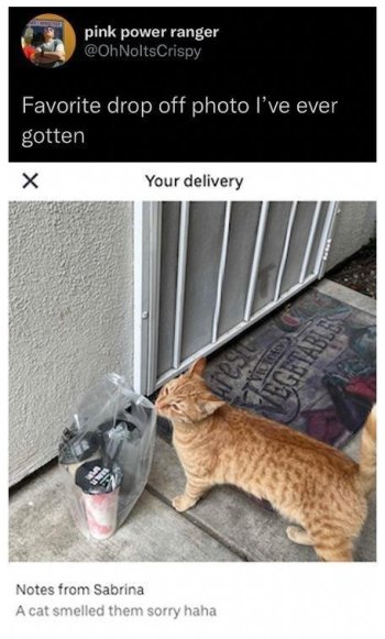 1753398781028.jpeg