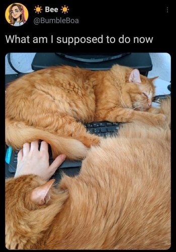 1753398845913.jpeg