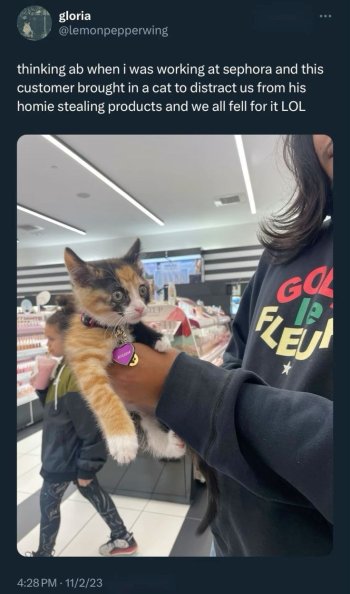 1753398917433.jpeg