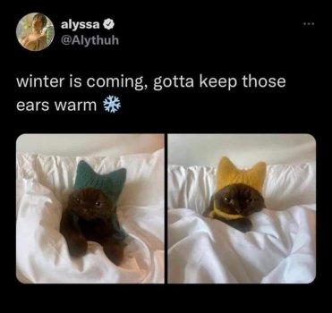 1753399012601.jpeg