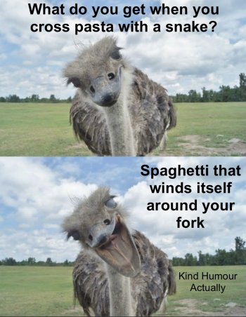 1753488268587.jpeg