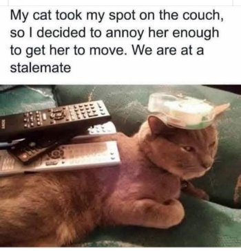 1753497938901.jpeg