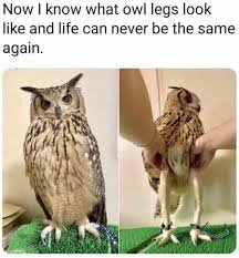 1753535085956.jpeg