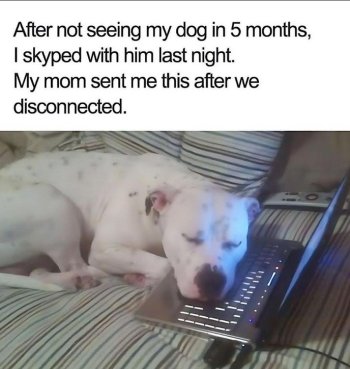 1753573386734.jpeg