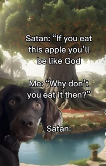 1753580603359.jpeg