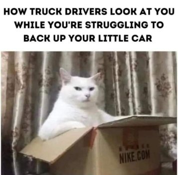 1753791491175.jpeg