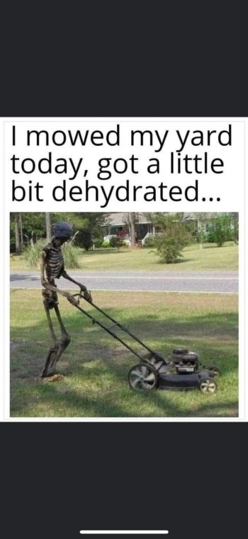 1753825574530.jpeg