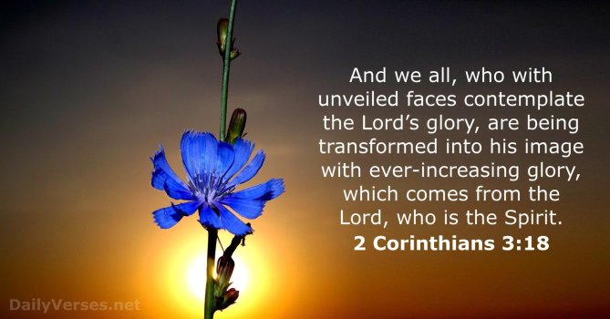 Exhortation - July 28, 2025